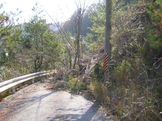 b0013897_710040.jpg