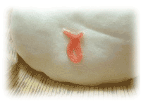 b0026110_0184150.gif