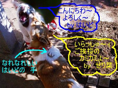 b0006329_19212310.jpg