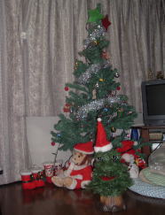 b0040332_241479.jpg