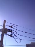 b0062185_1852829.jpg