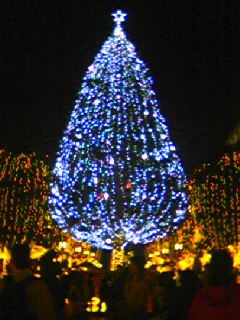 b0050803_23401627.jpg