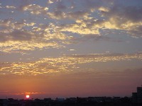b0038008_7332255.jpg