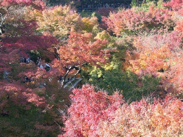 b0018112_1716066.jpg