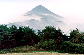 a0035543_2181979.jpg