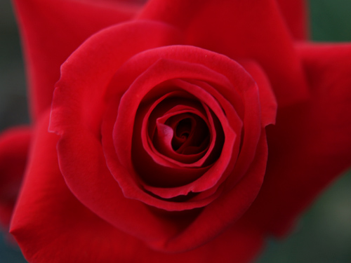 a0003746_17184889.jpg