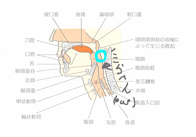 b0033954_22282825.gif