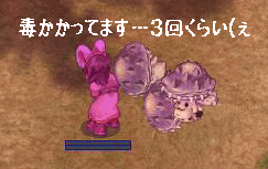b0067770_014369.gif