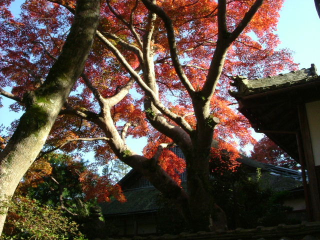 b0055171_16453225.jpg