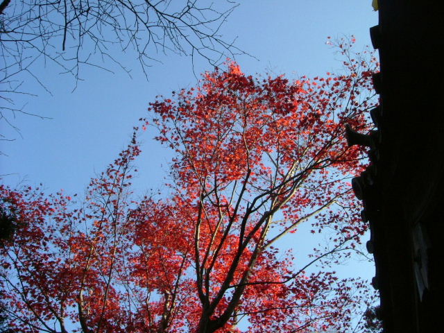 b0055171_1765965.jpg