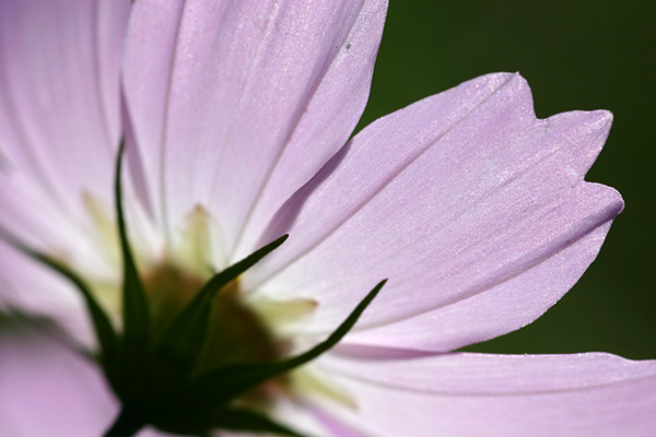 b0067789_217514.jpg