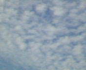 b0007895_2015444.jpg