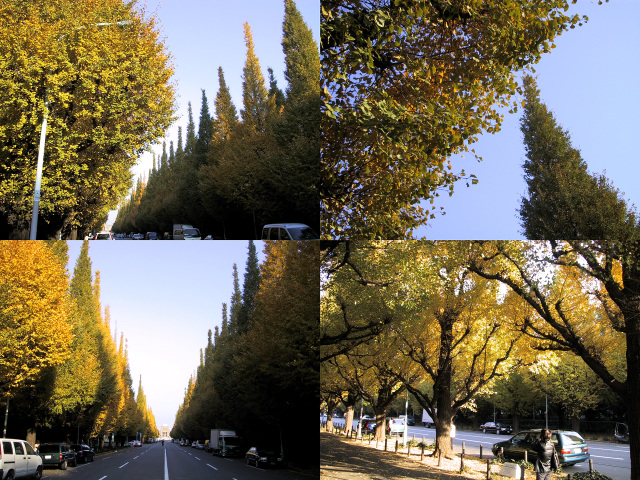 a0006605_12573122.jpg