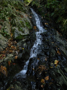 a0013751_020858.jpg