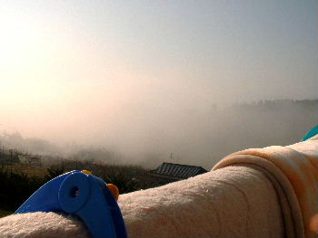 b0015260_9333558.jpg