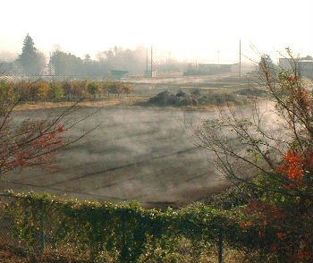b0015260_9335063.jpg