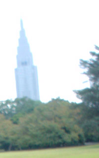 a0032361_166568.jpg