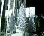 b0007895_21105872.jpg