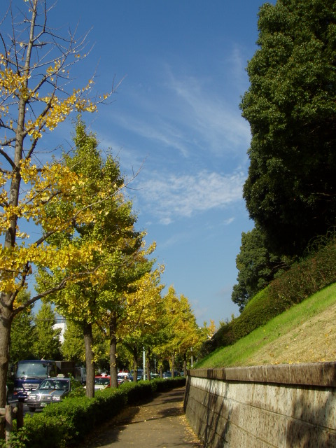b0015047_1238193.jpg