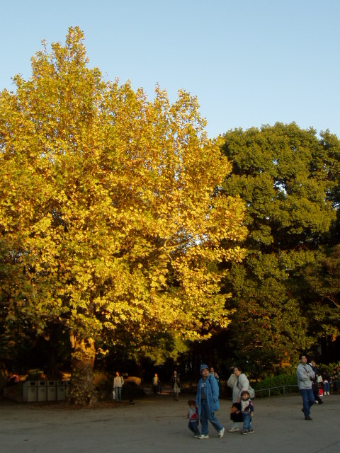 b0015047_13174310.jpg