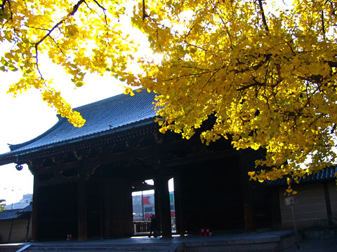 a0024250_4483633.jpg
