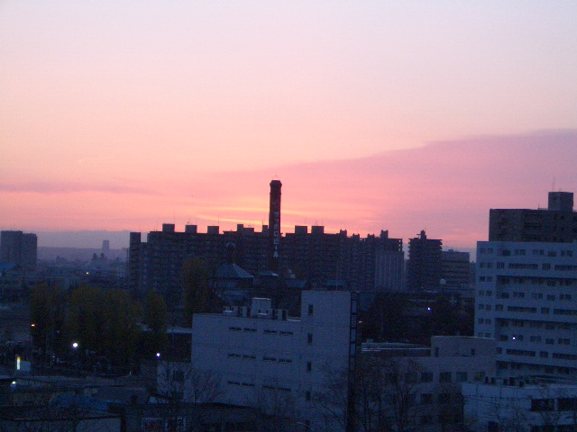b0048383_8492598.jpg