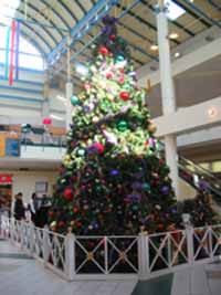 b0059509_1171957.jpg