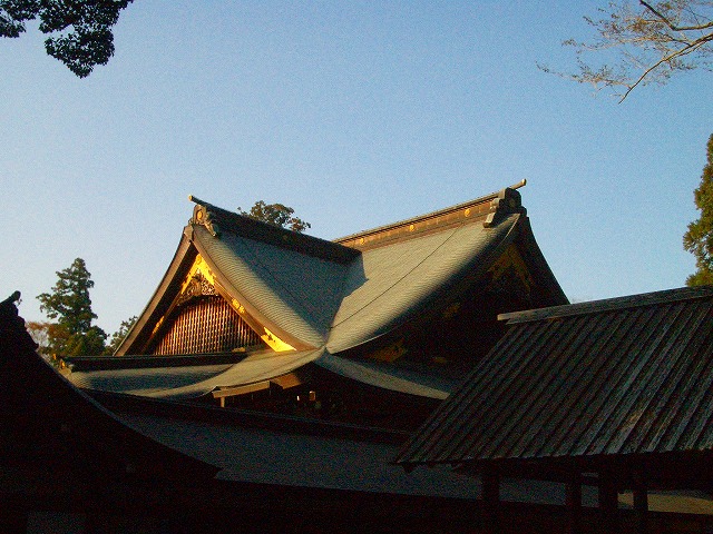 b0010882_20514260.jpg