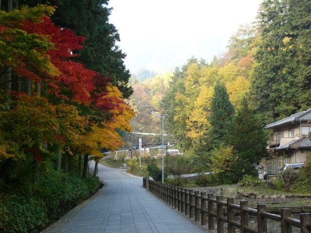b0042903_22232744.jpg