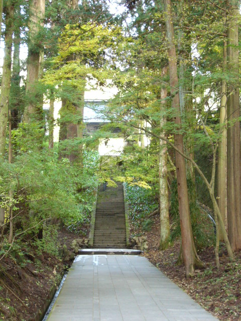 b0042903_22261517.jpg