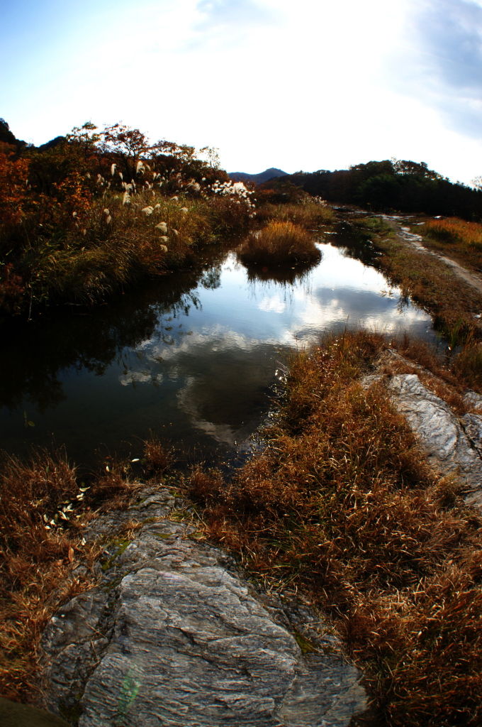 b0064329_17123537.jpg