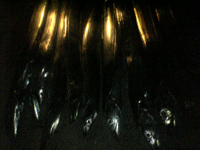 b0056230_22554570.jpg