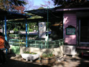 b0051052_1658890.jpg