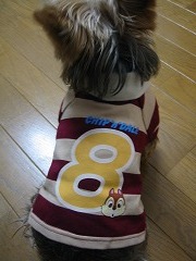 b0007559_21145100.jpg