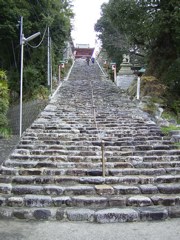 c0002390_1029121.jpg
