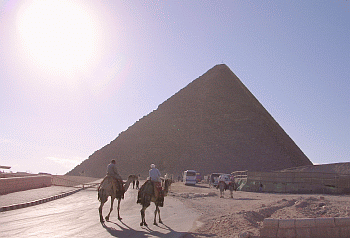 a0016192_1132383.gif