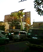 b0044209_947485.jpg