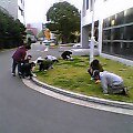 a0028016_1744239.jpg