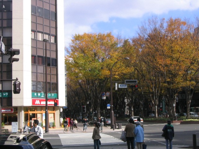 a0030217_929989.jpg