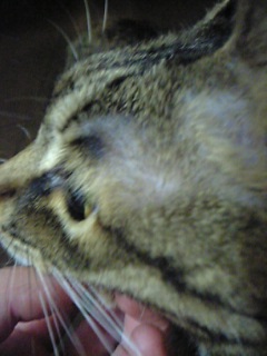 a0027720_20123853.jpg
