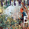 b0067547_1225512.gif
