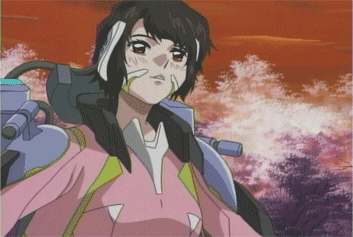 a0008459_23554043.gif