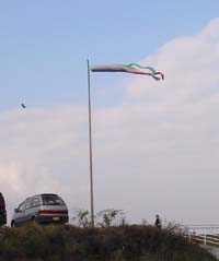 b0043467_23442479.jpg