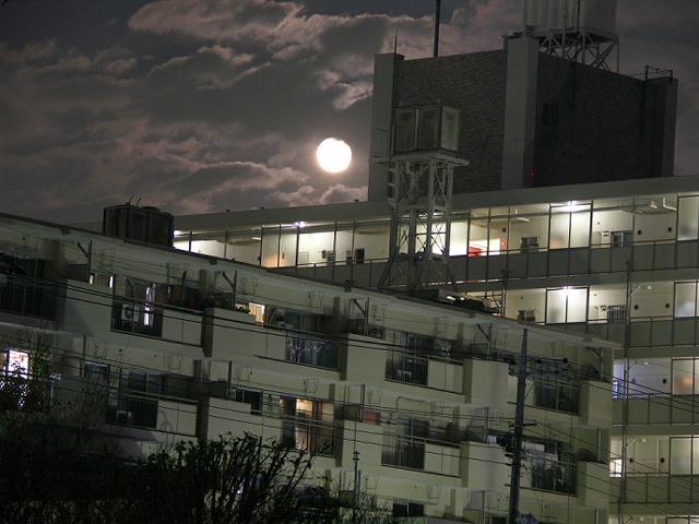 b0055085_19269.jpg