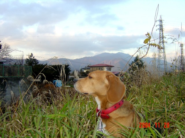 a0005691_1628198.jpg