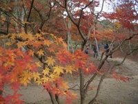 b0052108_1411558.jpg