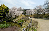 b0058229_1015572.jpg