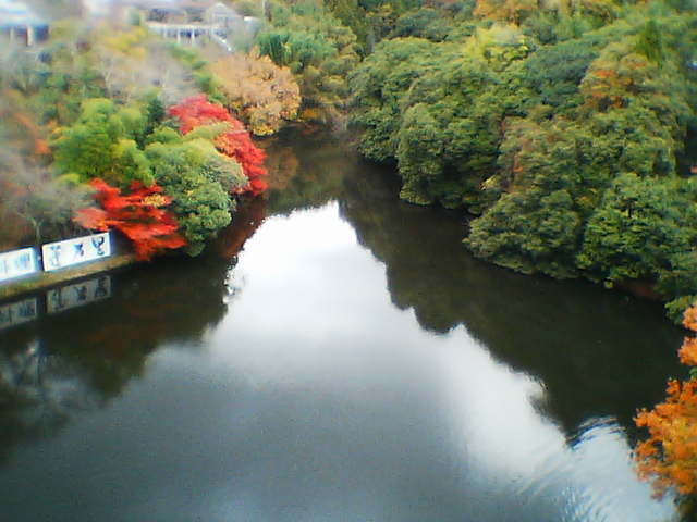 b0025633_1991134.jpg