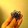 b0040638_12373266.jpg