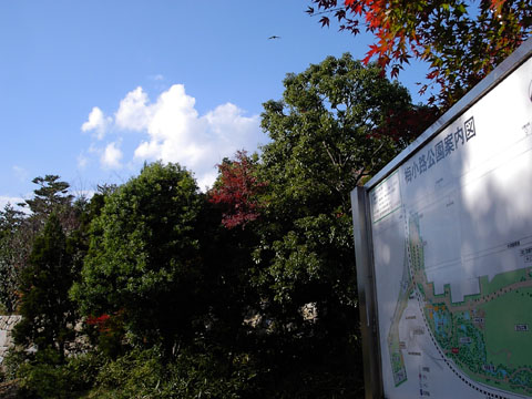 a0024250_1846452.jpg